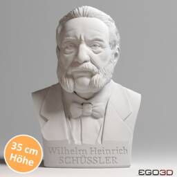 Dr. Wilhelm Heinrich Sch??ssler - 35 cm Bust Busts With Personality - thumbnail 1
