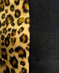 Wild About Cheer Pillow - thumbnail 3