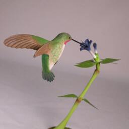 Open-Winged Broad-Tailed Hummingbird No.4 Hand Carved Wooden Bird - thumbnail 3