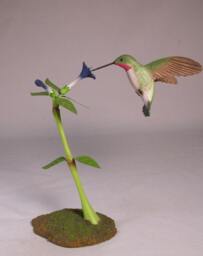 Open-Winged Broad-Tailed Hummingbird No.4 Hand Carved Wooden Bird - thumbnail 1