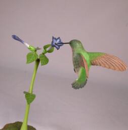 Open-Winged Broad-Tailed Hummingbird No.4 Hand Carved Wooden Bird - thumbnail 4