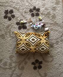 Handwoven Silk Ikat Velvet Lumbar Pillow Cover Gold Beige Ethnic Cushion