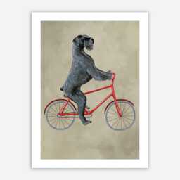 Giant Schnauzer Print, Schnauzer Illustration Art Poster Acrylic Painting Kids Decor Drawing Gift, Dog On Bicycle, Bicycle Print - thumbnail 1