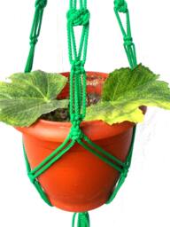 Green Mini Macrame Plant Hanger 18 Inches 3 Mm Beautiful Flower Pot Hanging Planters Indoor Or Outdoor Decor Gift Idea Window Decorations - thumbnail 1