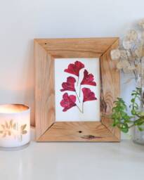 "Rhododendron, Wa, Wv State Flower - Print Reproduction Artwork Of Pressed Flowers 5x7"" 8x10"" 11x14" - thumbnail 1
