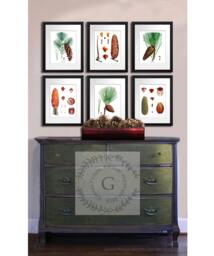 Pine Tree Art Prints Set Of 6 Unframed Tree Conifers Fir Woodland Rustic Cabin Wall Decor - thumbnail 1