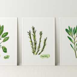 Set Of 3 Herb Prints - Farmhouse Botanical Kitchen Wall Art - thumbnail 3
