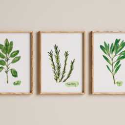 Set Of 3 Herb Prints - Farmhouse Botanical Kitchen Wall Art - thumbnail 4