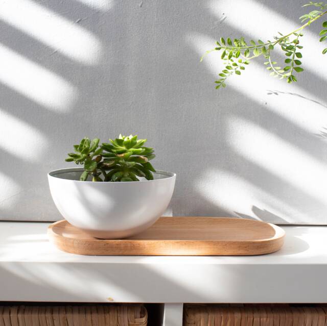 Succulent Pots With Saucer, Planter, Holder, White Pot, Aluminum Indoor Plant Small Planter - image 1