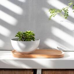Succulent Pots With Saucer, Planter, Holder, White Pot, Aluminum Indoor Plant Small Planter - thumbnail 1