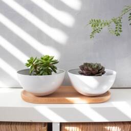 Succulent Pots With Saucer, Planter, Holder, White Pot, Aluminum Indoor Plant Small Planter - thumbnail 2