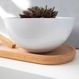 Succulent Pots With Saucer, Planter, Holder, White Pot, Aluminum Indoor Plant Small Planter - thumbnail 4