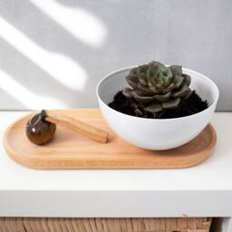 Succulent Pots With Saucer, Planter, Holder, White Pot, Aluminum Indoor Plant Small Planter - thumbnail 3