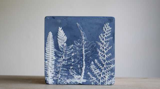 Ferns From Fife in Indigo Wedgwood - image 1