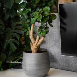 Handmade Grey Ceramic Plant Pot, Esra Sustainable Zen Home Decor, Multiple Sizes, D22cm, D31cm - thumbnail 2