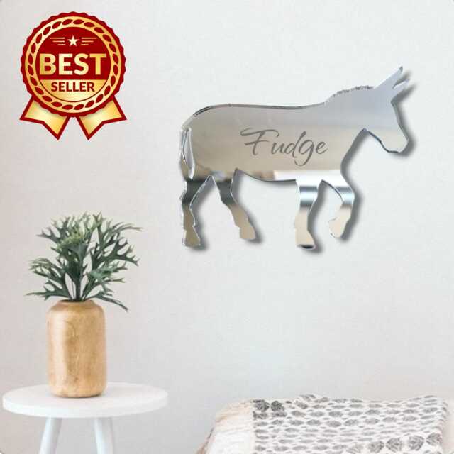 Donkey Large Acrylic Mirror Wall Art - Manys, Plain Or Personalised Engraving - Bespoke Items Made - image 1