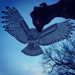 Papercut Owl - Beautiful Detailed Owl Cut From Pearl White Paper - thumbnail 1