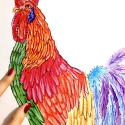 Rooster Wall Decal, Sticker, Decals For Tiles, Walls, Furniture, Kitchen Decals, Decor, Decor - thumbnail 3