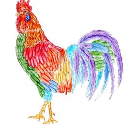 Rooster Wall Decal, Sticker, Decals For Tiles, Walls, Furniture, Kitchen Decals, Decor, Decor - thumbnail 2