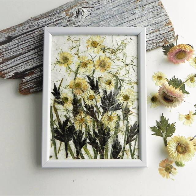 Daisy Dried Flower Framed Wall Art Nursery Hygge Home Decor Gift - image 1