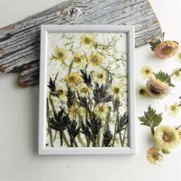 Daisy Dried Flower Framed Wall Art Nursery Hygge Home Decor Gift - thumbnail 1