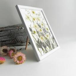 Daisy Dried Flower Framed Wall Art Nursery Hygge Home Decor Gift - thumbnail 3