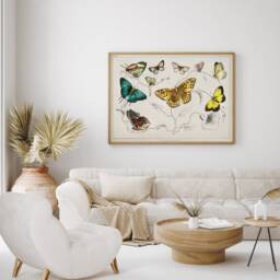 Antique Butterflies Print, Oliver Goldsmith Wall Art, Colorful Bugs Poster, Nursery Home Decor, Nature Inspired Butterfly Drawing, Printable - thumbnail 2