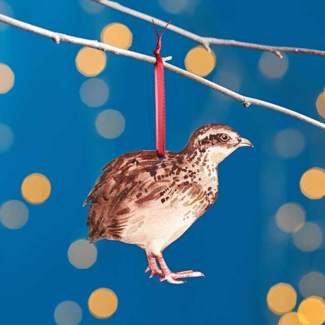 Quail Christmas Tree Decoration, Birch Plywood Ornament, Animal Lover Gift, Festive Watercolour Art, Traditional Keepsake - image 1