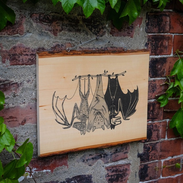 Anatomy Of The Bat -- Screenprinted Wood Slab Wall Art - image 1