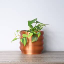 "Bubbly Planter With Drainage & Saucer in Copper, Unique 3D-Printed Plant Pot, Small To Large Sizes 4"" 5"" 6"" 7"" 8" - thumbnail 3