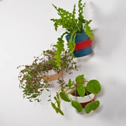 Leather Wall Planter Red, Indoor Hanging Plant, Wall Planter, Minimal Gift For Him, Her, Father's Day , Plant Hangers - thumbnail 3