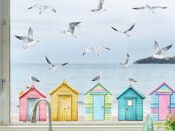 Beach Hut & Seagulls Window Stickers, Bird Decoration, Summer Sticker, Stickers - thumbnail 1