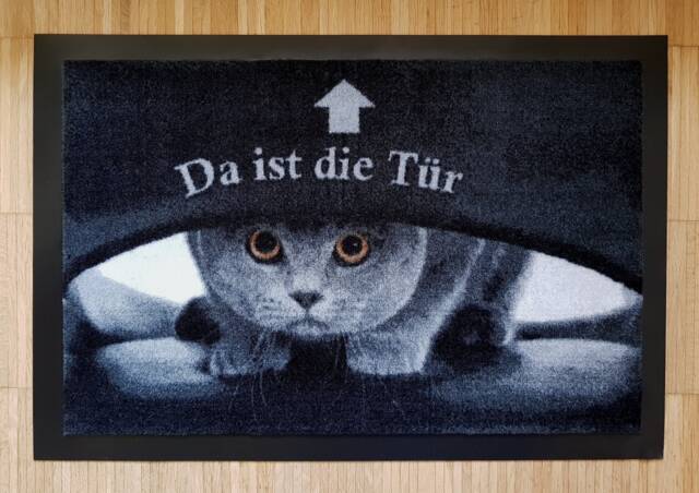 "Doormat Cat ""There Is The Door"