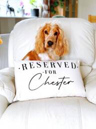 Personalized Dog Pillow Case Reserved For Your Pet, Cotton Canvas Cushion Cover - thumbnail 1