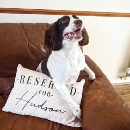 Personalized Dog Pillow Case Reserved For Your Pet, Cotton Canvas Cushion Cover - thumbnail 2