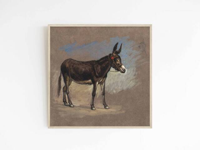 Spanish Mule - Vintage Art Print Antique Eclectic Animal Illustration Southwestern Style Sizes 8x8 10x10 Square - image 1
