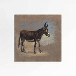 Spanish Mule - Vintage Art Print Antique Eclectic Animal Illustration Southwestern Style Sizes 8x8 10x10 Square - thumbnail 2