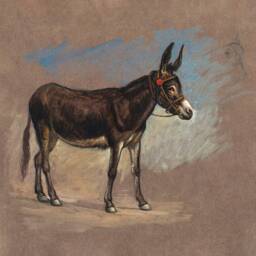 Spanish Mule - Vintage Art Print Antique Eclectic Animal Illustration Southwestern Style Sizes 8x8 10x10 Square - thumbnail 3