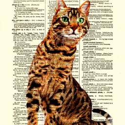 Bengal Cat Art Print Upcycled 1897 Dictionary Page - thumbnail 3