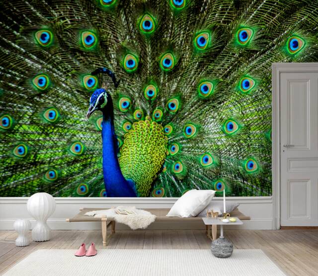 3D Peacock Feather Wall Mural, Green Decor - Peel & Stick - image 1