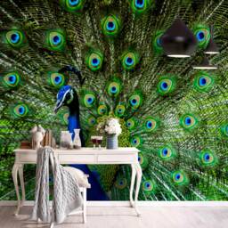3D Peacock Feather Wall Mural, Green Decor - Peel & Stick - thumbnail 2