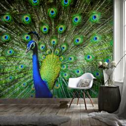 3D Peacock Feather Wall Mural, Green Decor - Peel & Stick - thumbnail 3