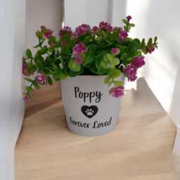 Earthenware Personalised Dog Memorial Plant Pot - Cat Horse 12cm - thumbnail 2