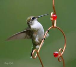 Copper Wire Heart Link With Crystals Hummingbird Feeder Ornament - thumbnail 3