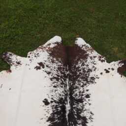 Natural Spotted Brown & White Cow Hide-Authentic Brazilian Skin-Genuine Hair On Large Cowhide Area Rug-Ideal Gift For Farmhouse Decor - thumbnail 2