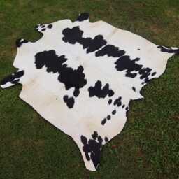Natural Spotted Brown & White Cow Hide-Authentic Brazilian Skin-Genuine Hair On Large Cowhide Area Rug-Ideal Gift For Farmhouse Decor - thumbnail 4