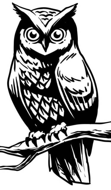 Owl Vinyl Decal Decor Car Van Bonnet Side Sticker Hood Graphic Sign Motorhome Campervan Wall Art