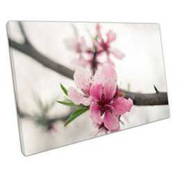 Blossoming Tree Canvas Print Elegant Floral Wall Art For Home, Office & Living Room Decor - thumbnail 1