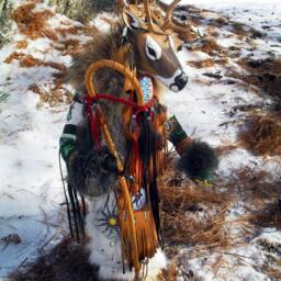 Deer Manitou - Spirit Or Totem - thumbnail 2