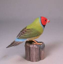 Gouldian Finch - Red-Head Hand Carved Wooden Bird - thumbnail 2